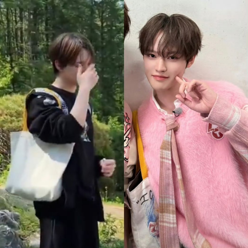 chenletao's tweet photo. zhong chenle and his totebag collection https://t.co/VMmKHme1fK
