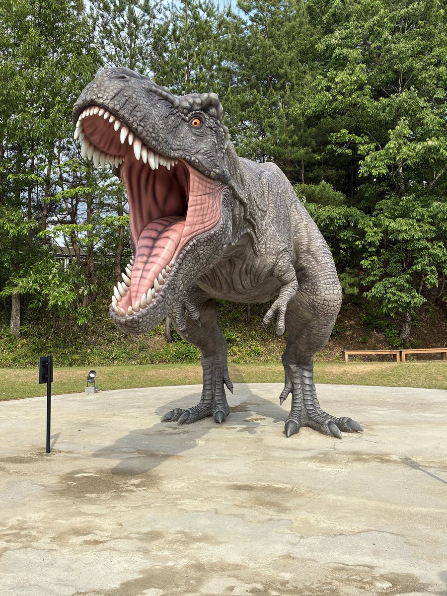 lanning849846's tweet photo. 昨日は大野名水ハーフマラソン🏃‍♀️
最近はジョグばかりロング無し練習不足でタイムより走りきれるのか心配でした
前日謎の一睡もできず😭
一緒のお部屋の2人は寝てる🥹
一人悶々と泣きそうになりながらスマホで検索ばかりしてました(2枚目の📷履歴🤣)
前半特にしんどくてDNFしよかと本気で悩みました😣 https://t.co/JdOf8BHR4c