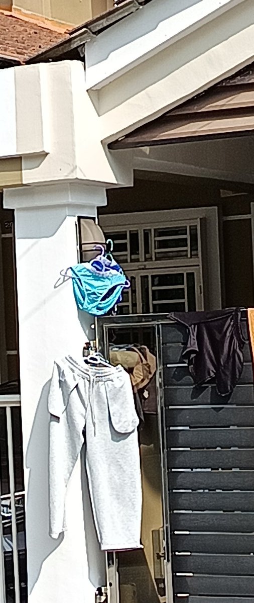 sang saka biru tweet media