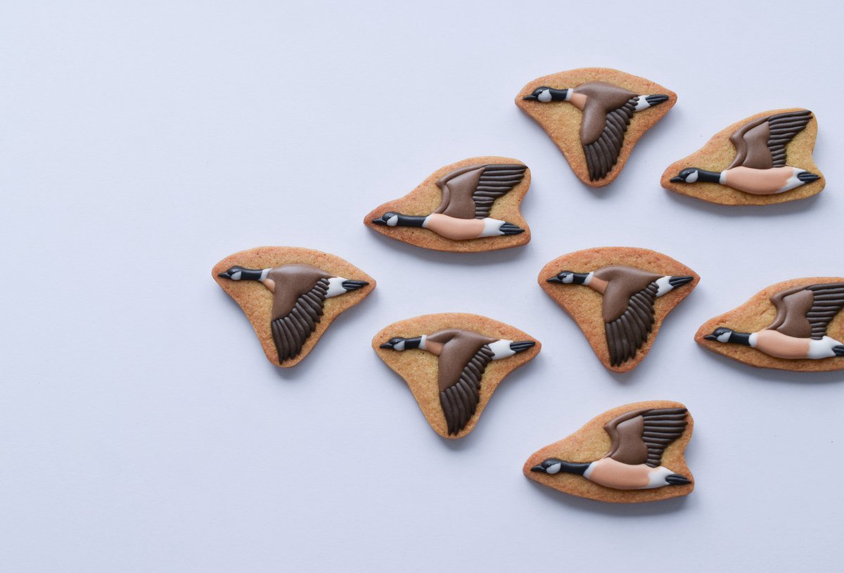 birdcookielog's tweet photo. #しり鳥 感想回ラスト！

鳥展から発足した公式トリバサダー
と有志たちにより行われてきた
鳥のしりとり企画🕊️

私は３種の新作クッキーを
作ることが叶いました🍪✨
（鳥名全部分かるかな？）

鳥展を少しでも盛り上げることができてたら嬉しいです🙌
大阪での鳥展は6/14まで！急げ〜！ https://t.co/WJQPtG8TGA