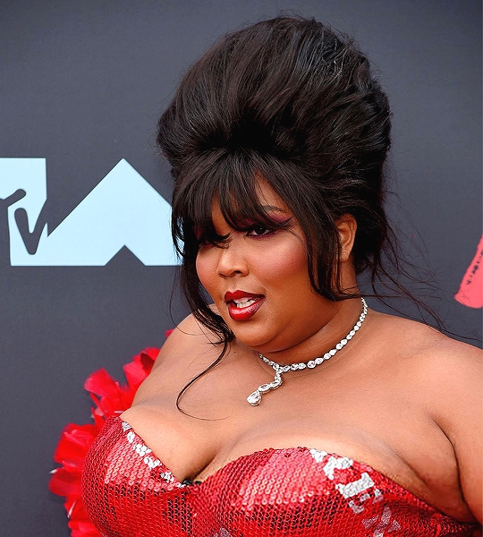 Chubby Beauties tweet media