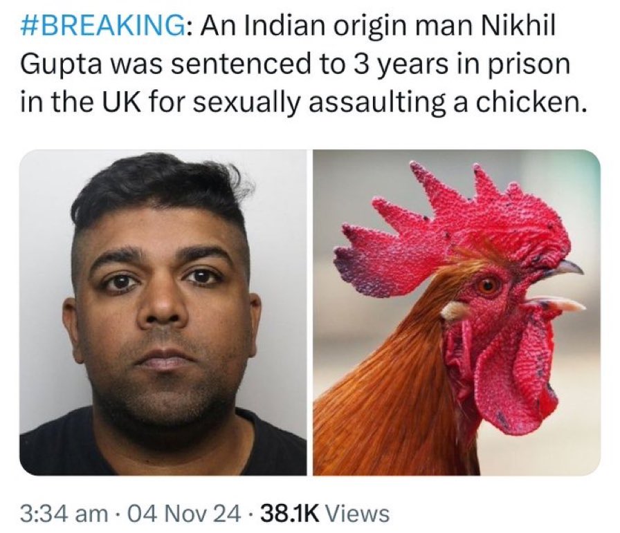 RagingMalice's tweet photo. @_BasedCow_ Or chicken https://t.co/p4hpvJ0OKA