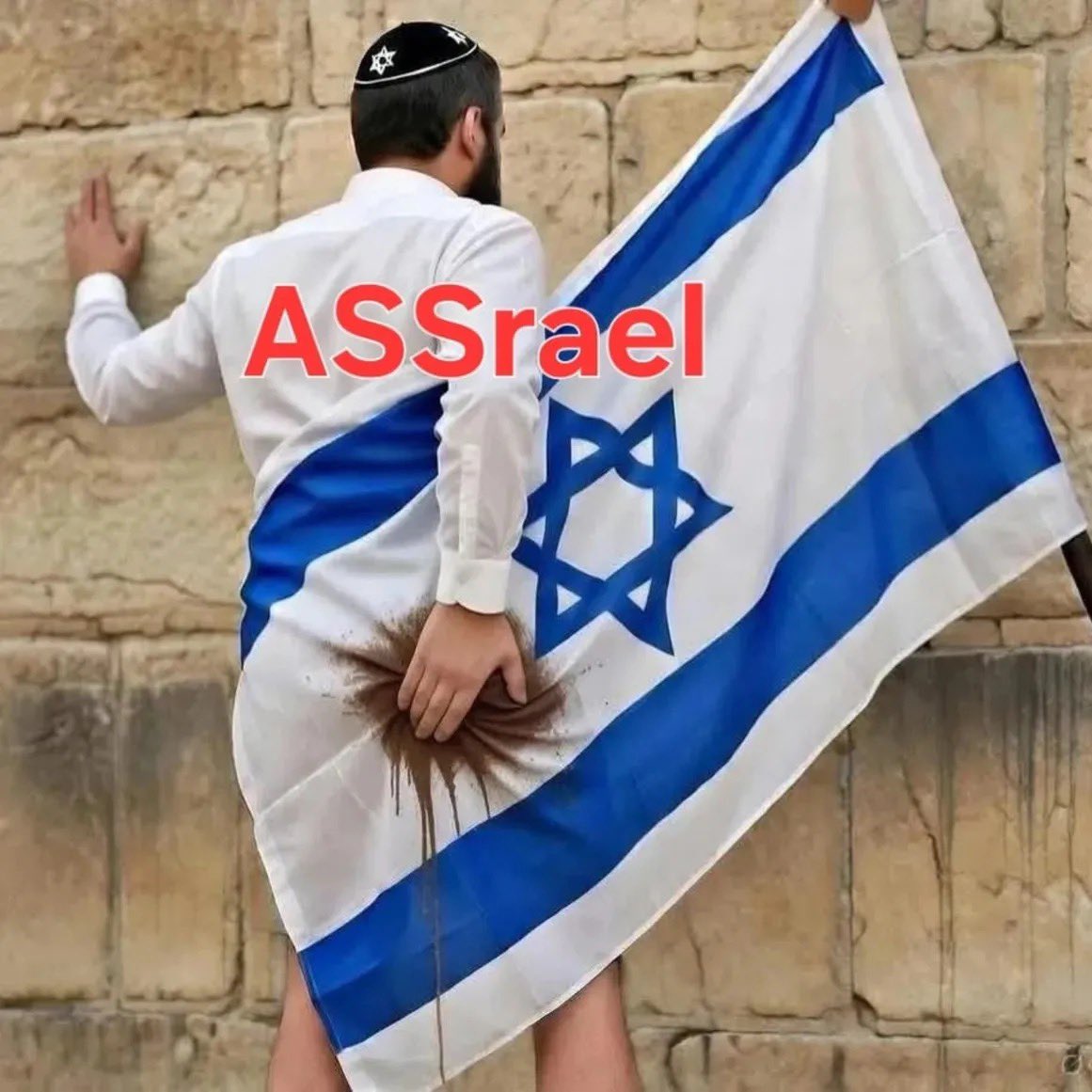 리쿠_arashi🗝️🇵🇸🫒🌿 tweet media
