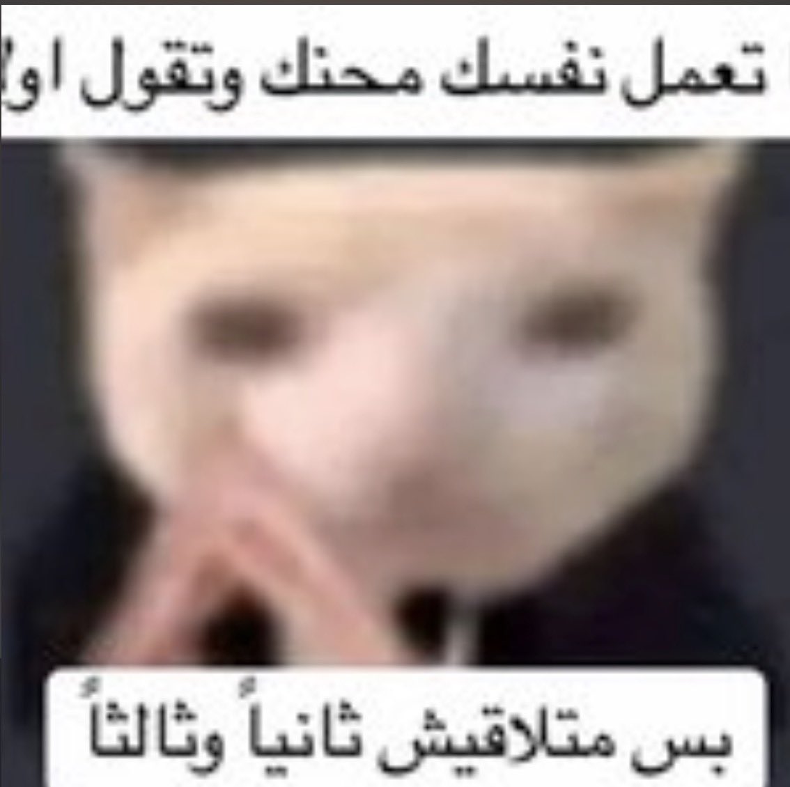 بهاء tweet media