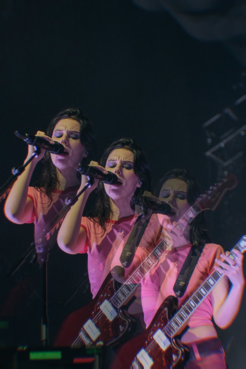 Wolf Alice Brazil 🐺🇧🇷 tweet media