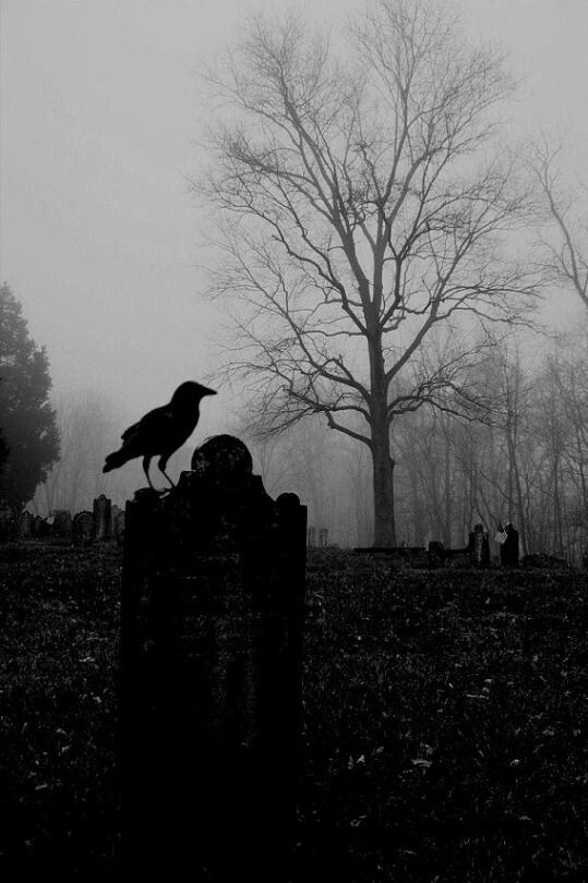 darkvibe's tweet photo. https://t.co/346ZL29NQ8