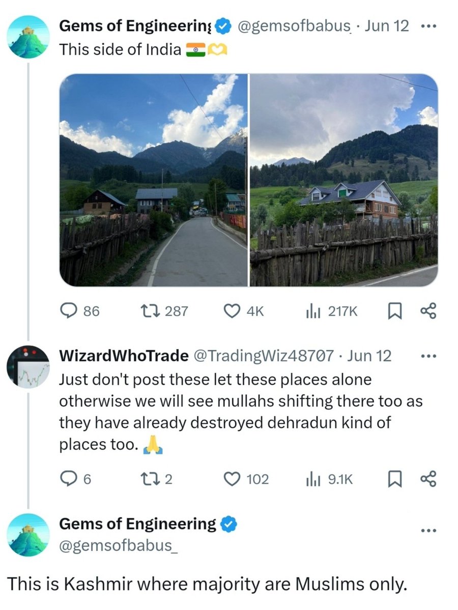 Raizer tweet media
