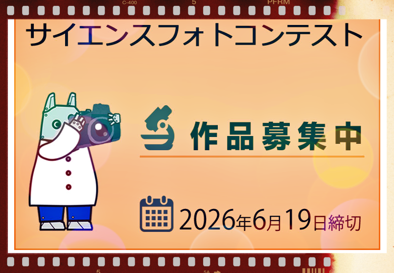 NARIKA_official tweet picture
