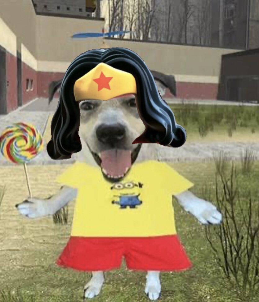 Wonder Woman tweet media