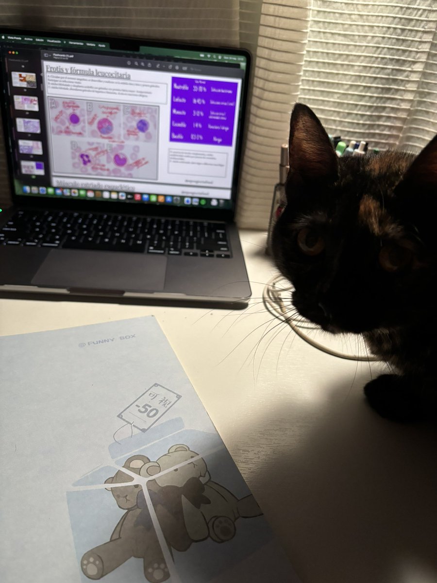 Frannkkye's tweet photo. Olga está a 2 explicaciones de fórmula leucocitaria de irse a dormir sin mi #studytwt https://t.co/D4TjUtZ7gk