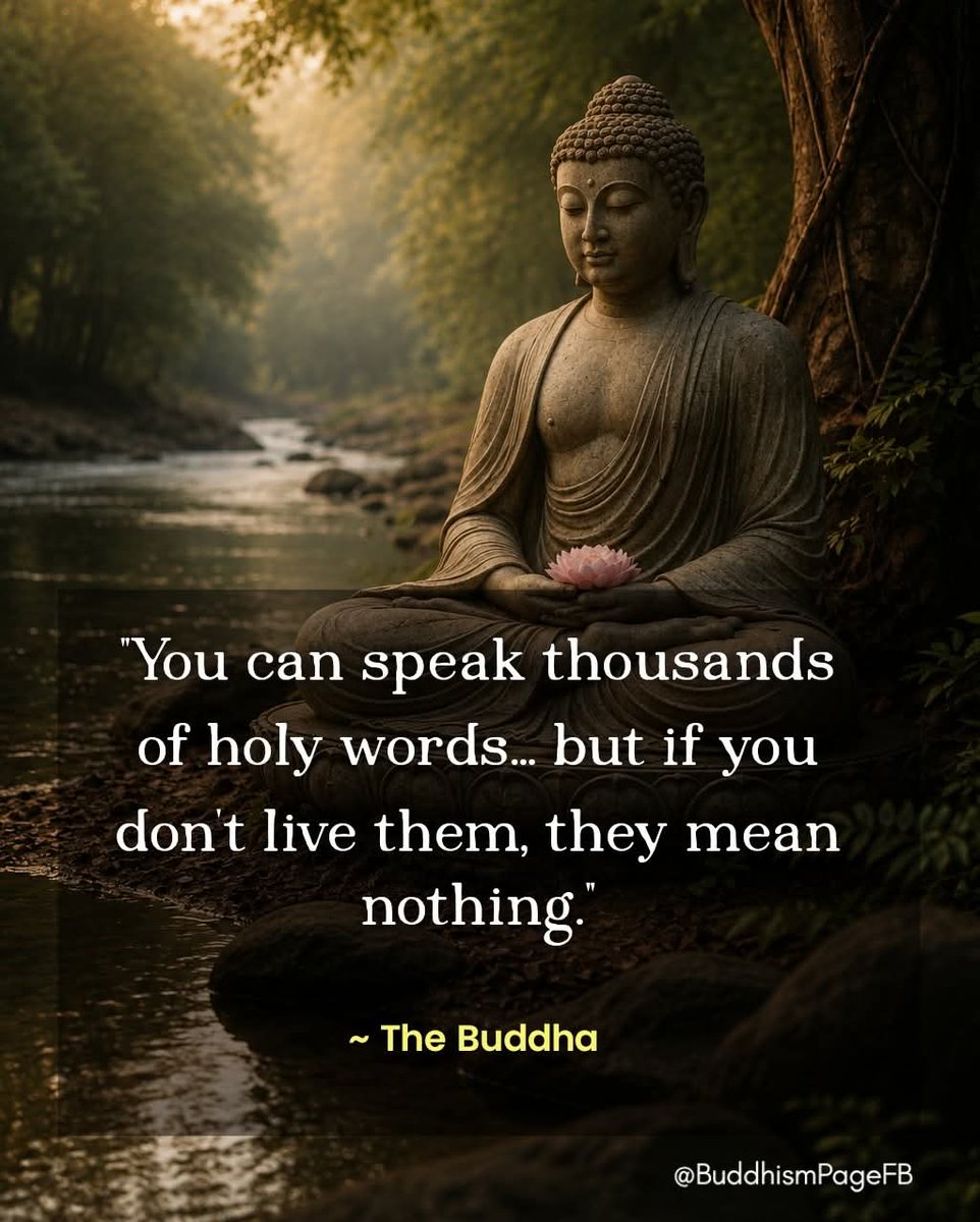 murthy_bsp's tweet photo. Namo buddhaaya... https://t.co/ub16GMA5kr