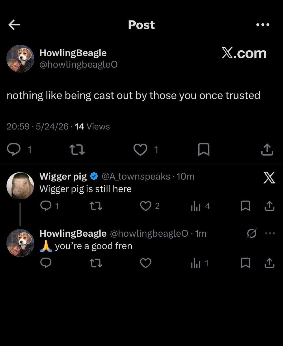 HowlingBeagle tweet media