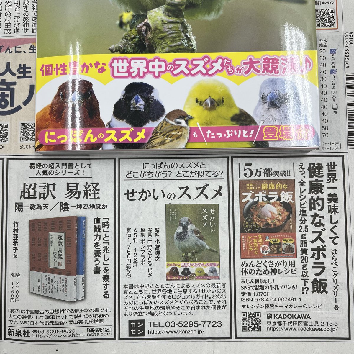 KANZEN_pub's tweet photo. 【新聞広告】
5月26日付の読売新聞へ、
新刊🕊️『せかいのスズメ』（監修 小宮輝之、写真 中野さとる ほか、編集 ポンプラボ）の新聞広告を出稿してます。この機会にぜひ🙏

にっぽんのスズメと
どこがちがう？ どこが似てる？ https://t.co/SryJ8A1A4C