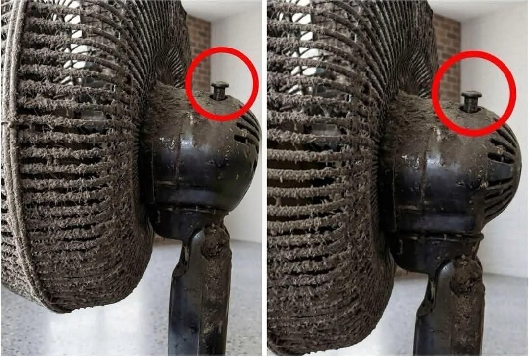 fachopxt's tweet photo. o pino do meu ventilador parou de funcionar pqp https://t.co/pbyoag0P7W