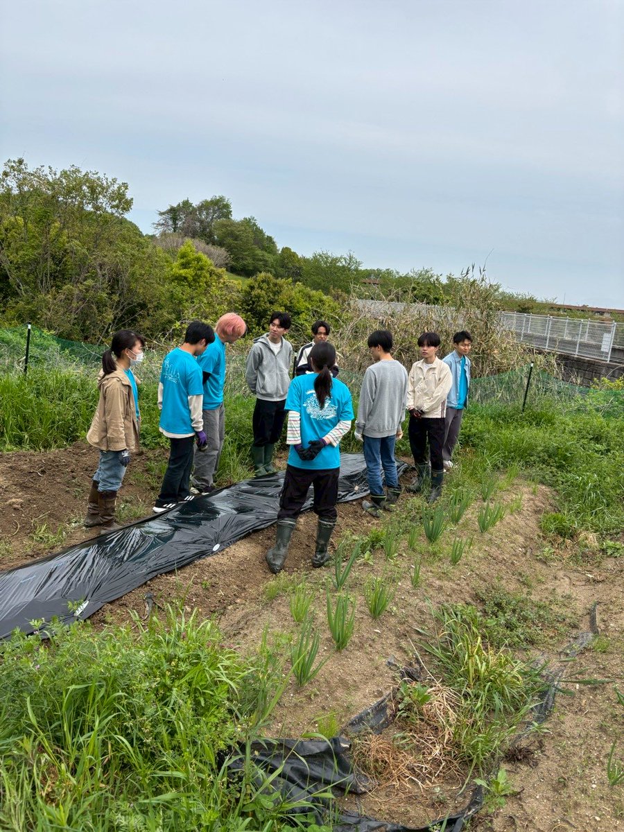 FeeLink7's tweet photo. 【教材園　定例活動　4/21】
⁡
新入生体験会を行いました！この日に向け畝を作ったり、はつか大根を植えていました。
体験会には19人も来てくれました。この体験会を通じて入ると決めてくれた方も多くいるように感じました。
新しく入ってくれた方達ともこれから一緒に頑張っていこうと思います。 https://t.co/ZTQClUEBmt