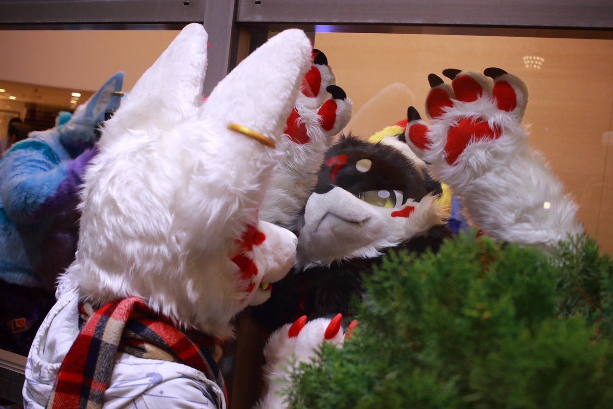 R35maso's tweet photo. #ケモノをみて今週もがんばりマンデー https://t.co/94u5Y5Cnjj
