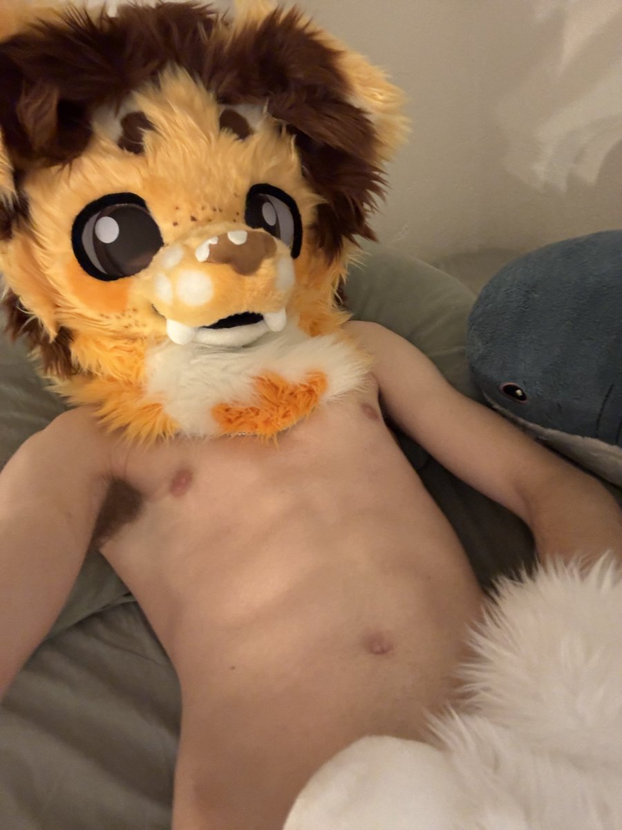 dog 🔞 tweet media