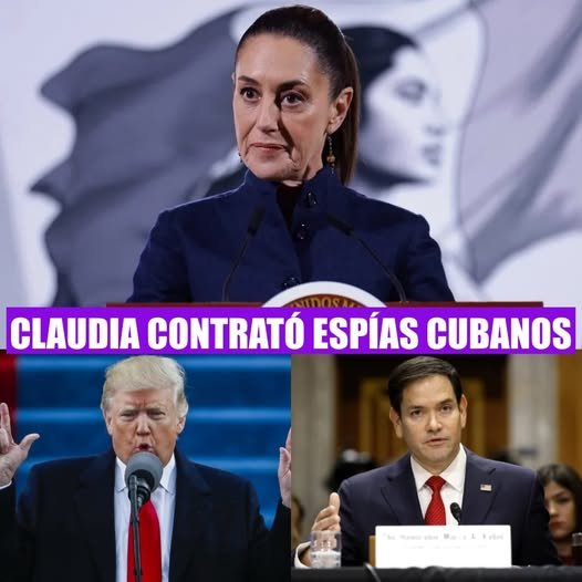 constanza luna tweet media