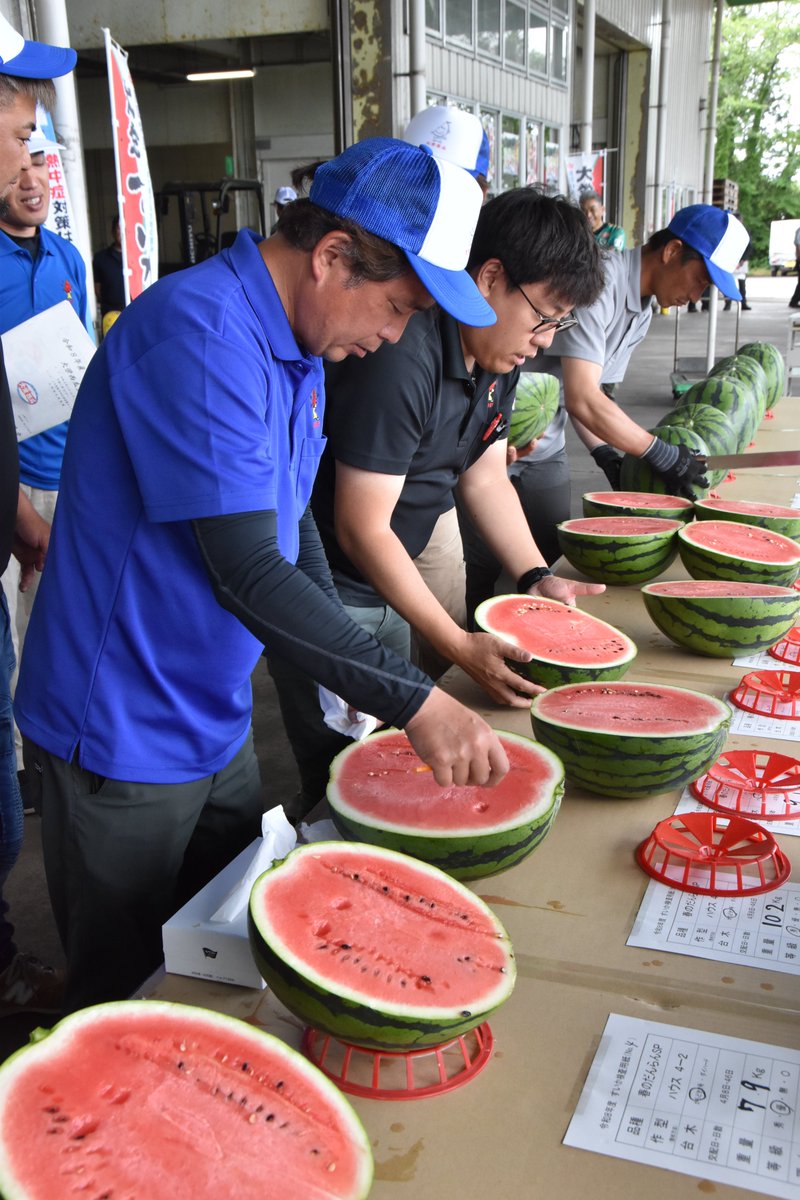 JAtorichu's tweet photo. 大栄西瓜の査定会が開催されました！
初出荷は27日に決定🍉

今年の仕上がりは、平均重量9kg超え、糖度は内11.4度、外11.8度でした。
前田会長は「色、シャリ感、甘さともに大満足の出来栄え」と言ってました。
今から食べるのが待ちきれませんね！
#大栄西瓜 #スイカ #北栄町 #初出荷 https://t.co/9dDP9LrrgI