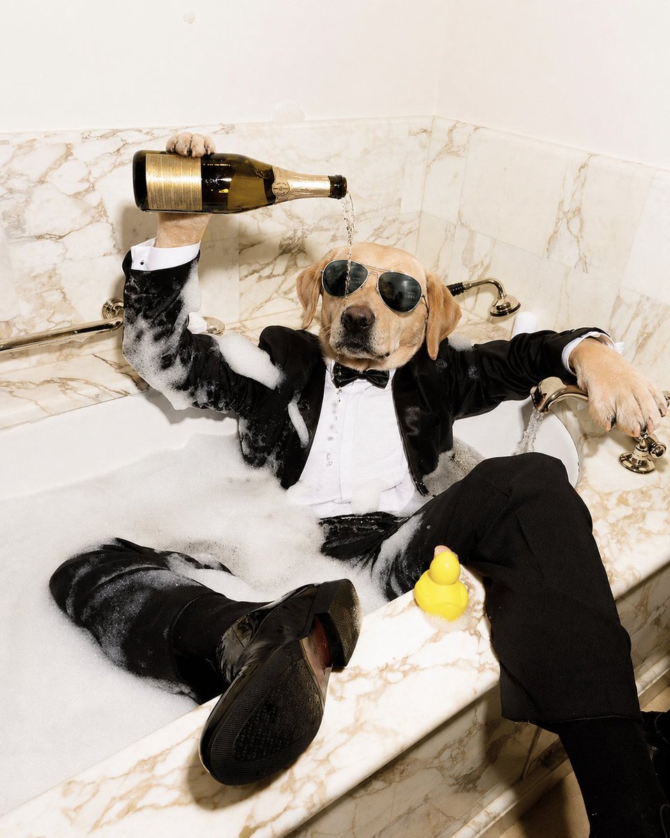The Crypto Dog Meme Official tweet media