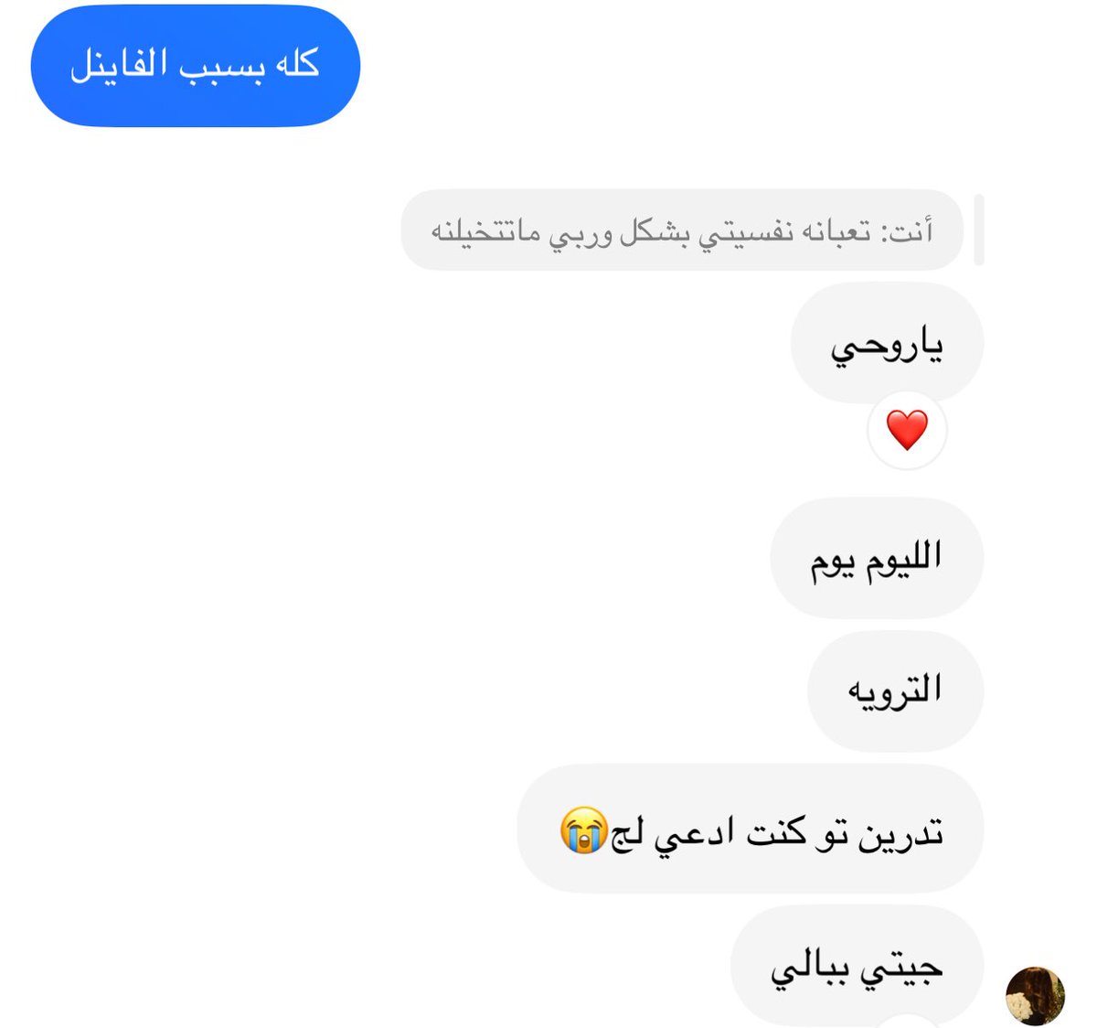 ميمي🦦 tweet media