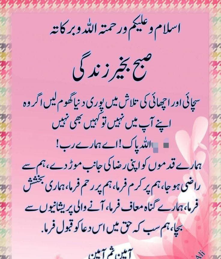 Jamal Orakzai🇵🇰🫶🇦🇪 tweet media