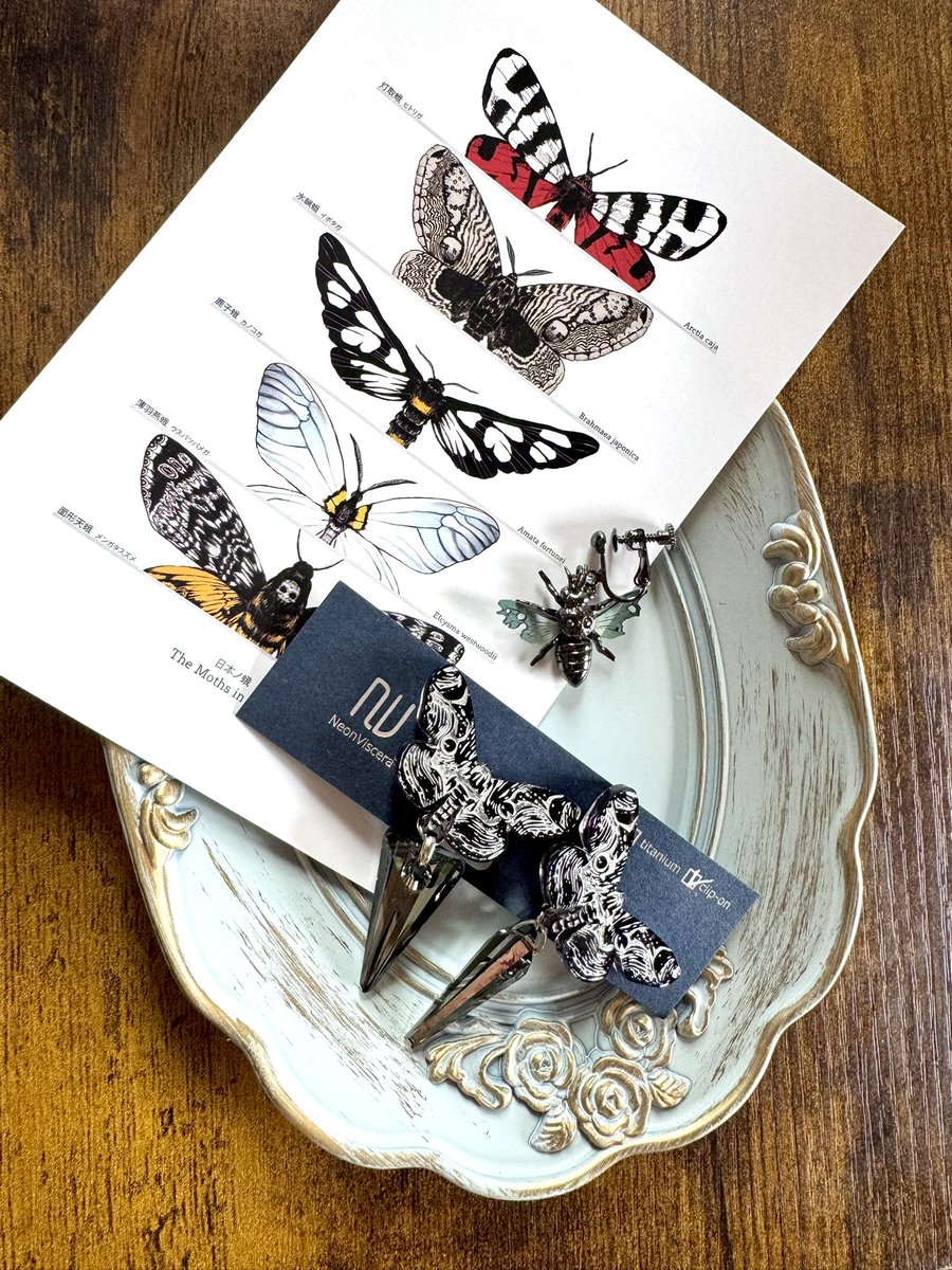gigi_scroll's tweet photo. デザフェス戦利品⑧
NVさん(@molphine703)
オシャレ過ぎてひっくり返った。
俺ァ馬鹿だからヨォ…虫さんの名前わかんねぇけどヨォ…"良い"モノはわかるゼェ…！
#デザインフェスタ63 https://t.co/joXLbiXfOy