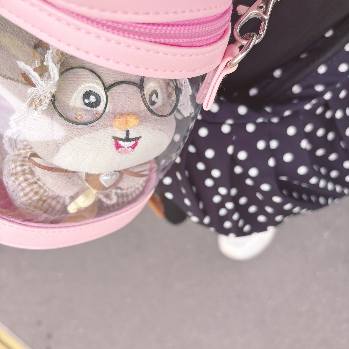 ほしがりす𝜗𝜚 tweet media