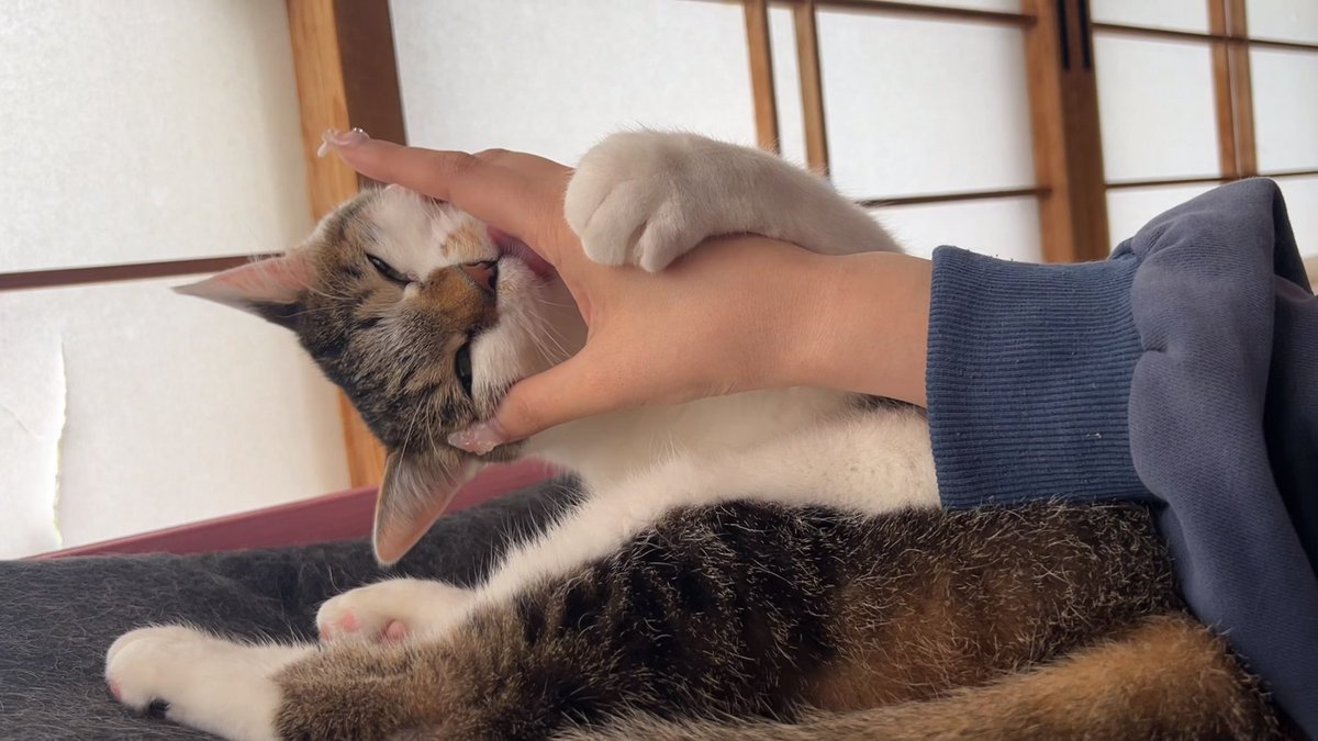 まーバステン（今日も元気に営業中☺️） (@fixoil) / Posts / X