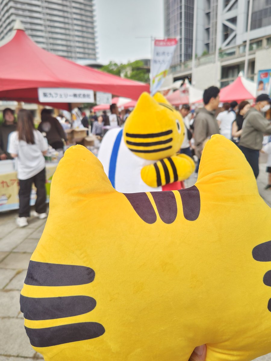 sailing_basho3's tweet photo. ふねこ、ふねこだよ
ふねこ、ふねこだよ https://t.co/eztpCJdEp3