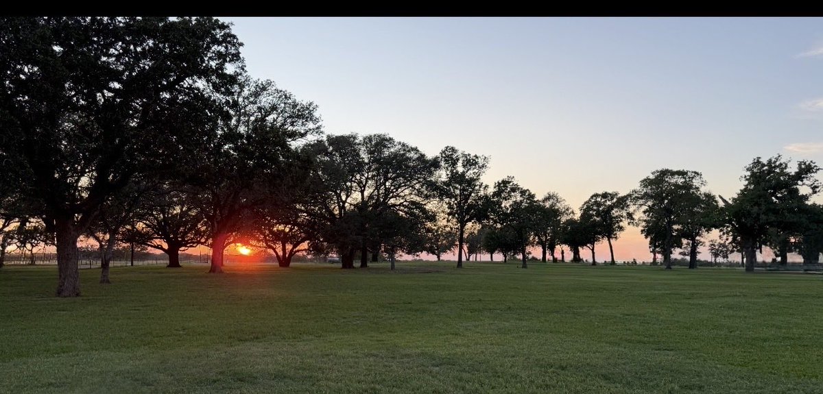 Used_To_Be_GOP's tweet photo. Regardless of the politics of the day, I am still blessed with being able to come home to this wide-open space and with the hope that our country will survive the dark cloud of misery that Donald Trump carries with him… https://t.co/zO4EDXFtzv