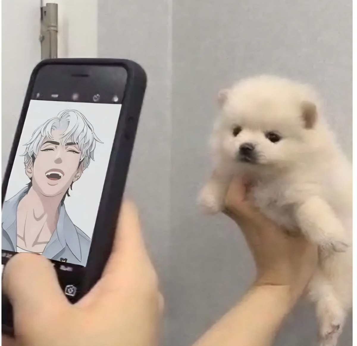 멍멍(찬란한 므모밈) tweet media