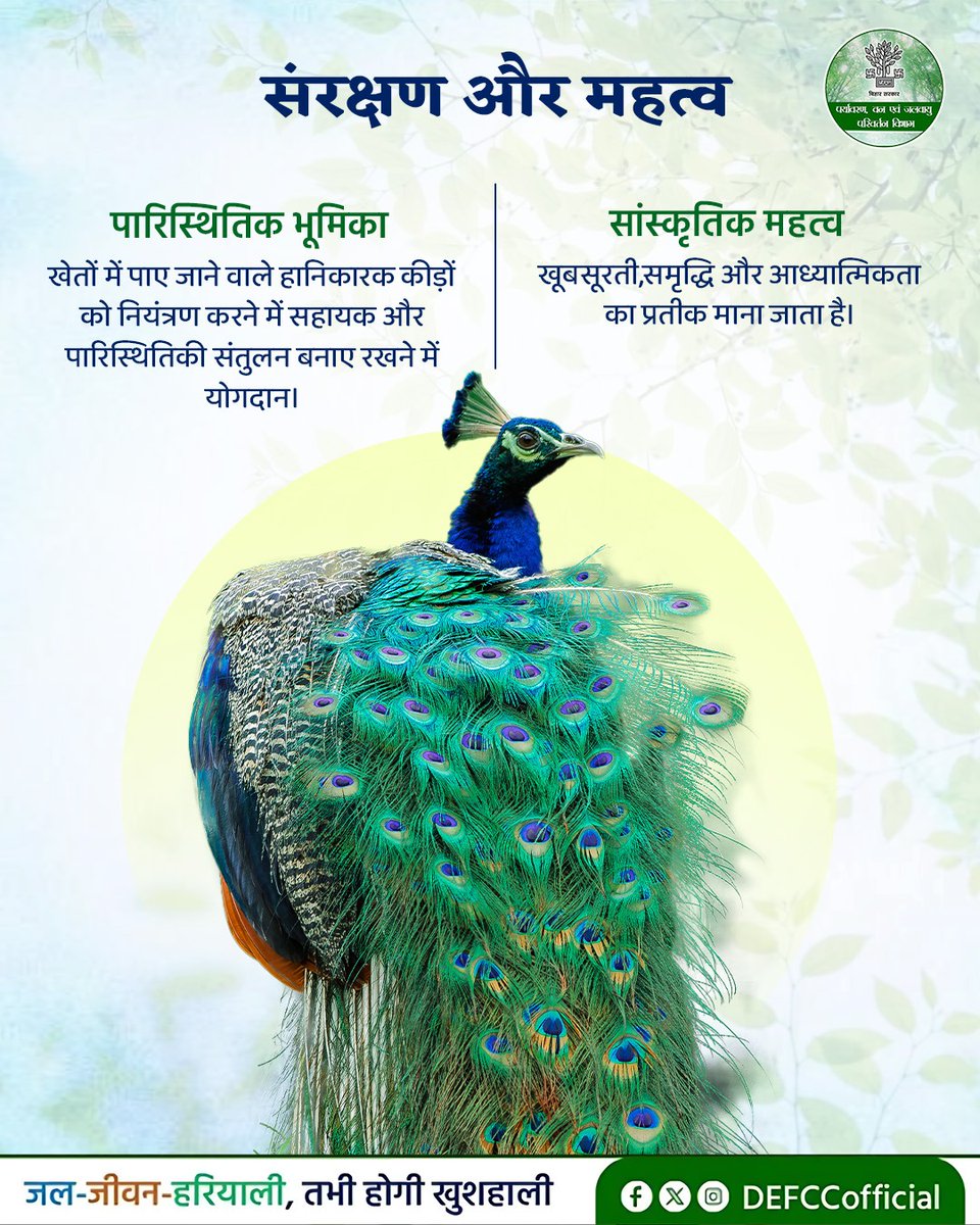 Department of Environment, Forest & Climate Change tweet media