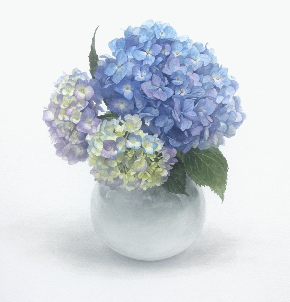 藤木貴子 tweet media