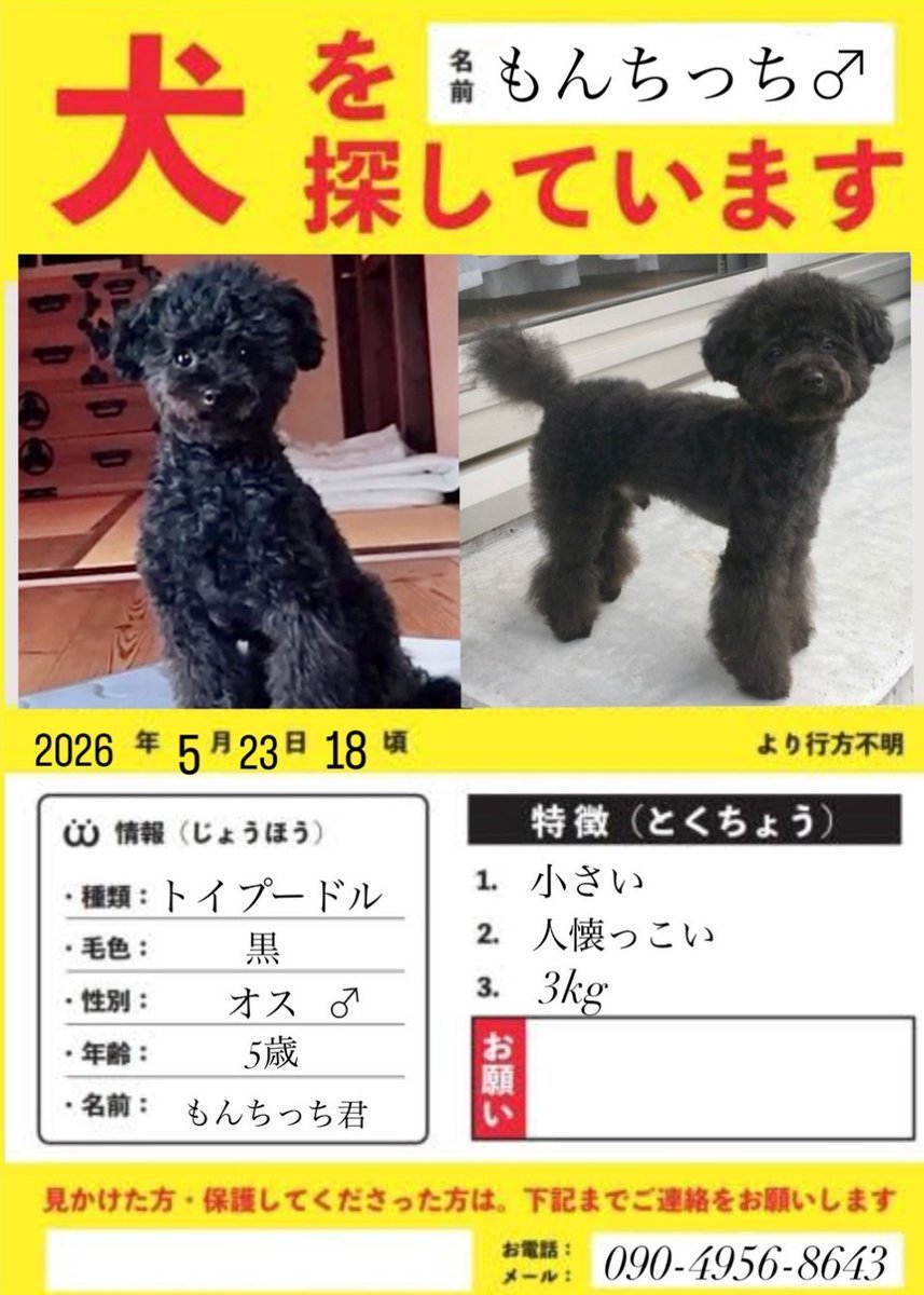 保護犬保護猫サポート隊🍀 tweet media