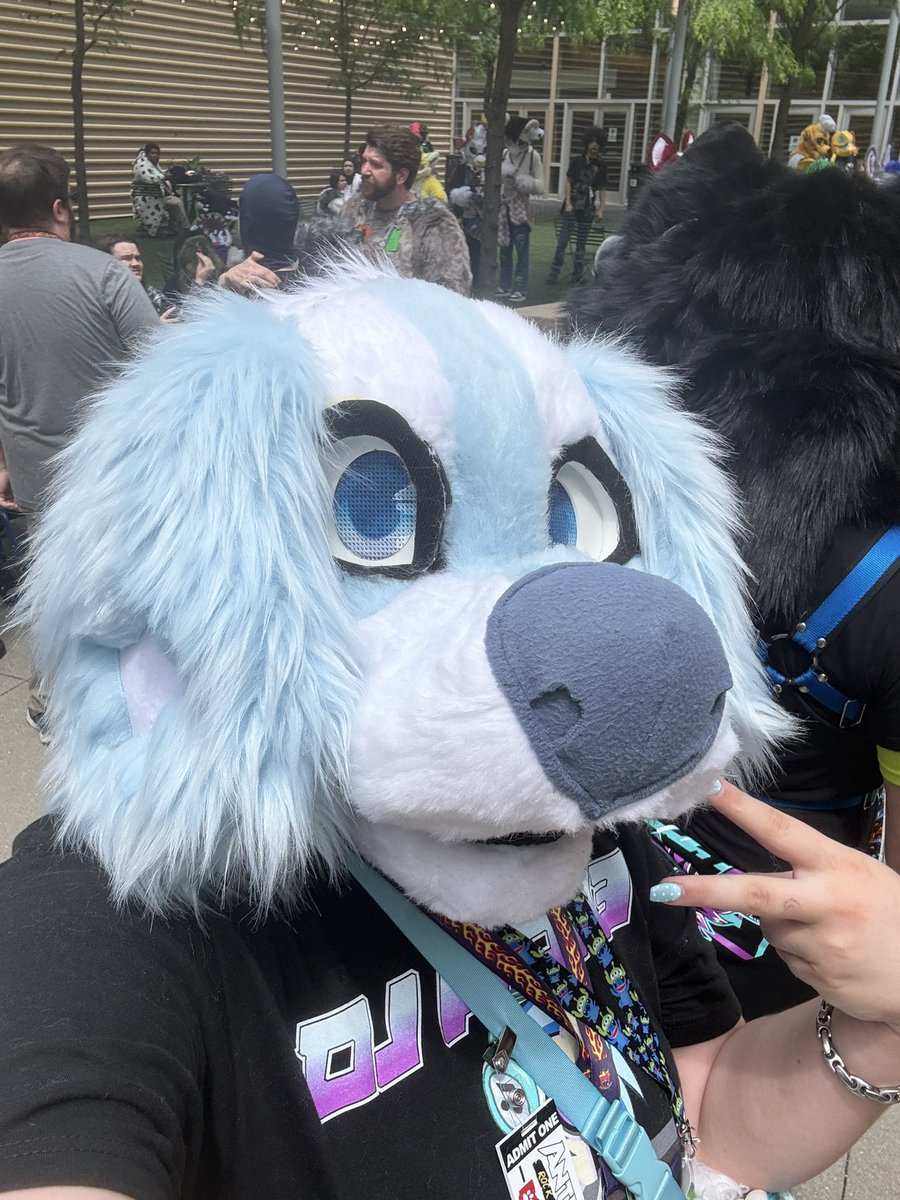 _Cheystudios's tweet photo. I don’t wanna photo dump here so follow me on insta. But here’s some of my favorite pics from Anthrohio 2026. https://t.co/RcqKLnHGym