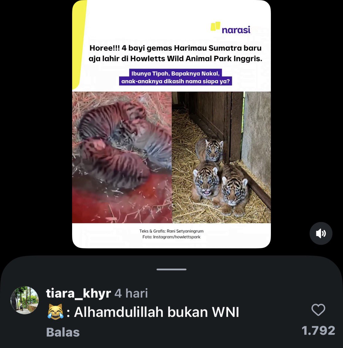 BEBEL tweet media