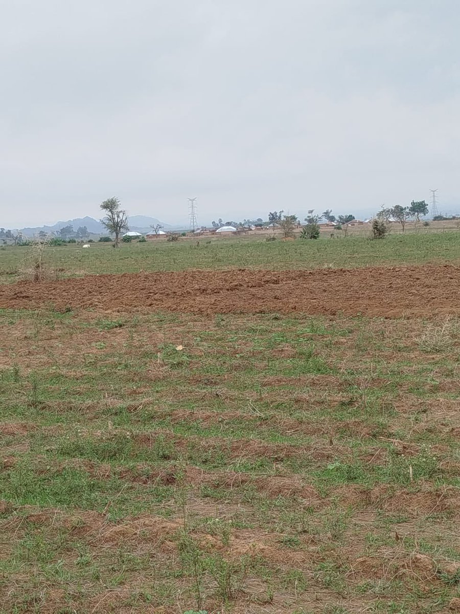 Jos_RealEstate's tweet photo. ‼️‼️‼️‼️

FOR SALE AT RAFIKI: gorgeous 5 plots of land in the fast developing Rafiki community. With good road network and serenity 

Price: 1.5M per plot 
Title: Sales Agreement 
📍Rafiki, Plateau State https://t.co/vn0GtvxitL