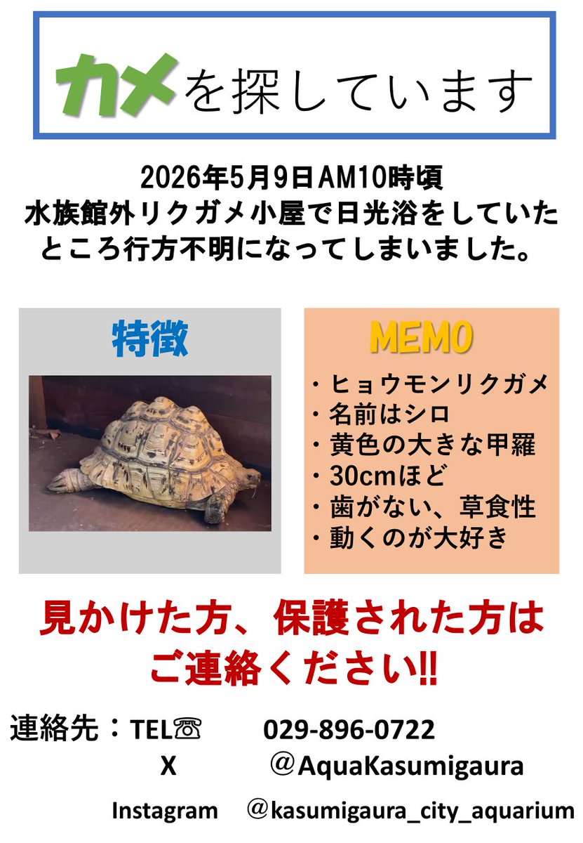 かすみがうら市水族館 tweet media