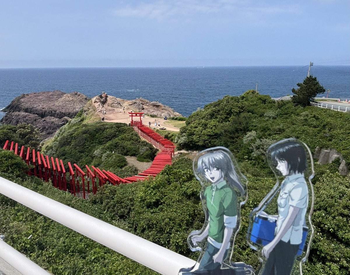 ときわ✴︎ tweet media