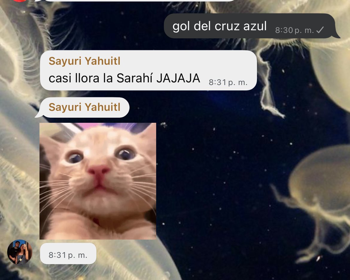 Sarahi Velazquez tweet media