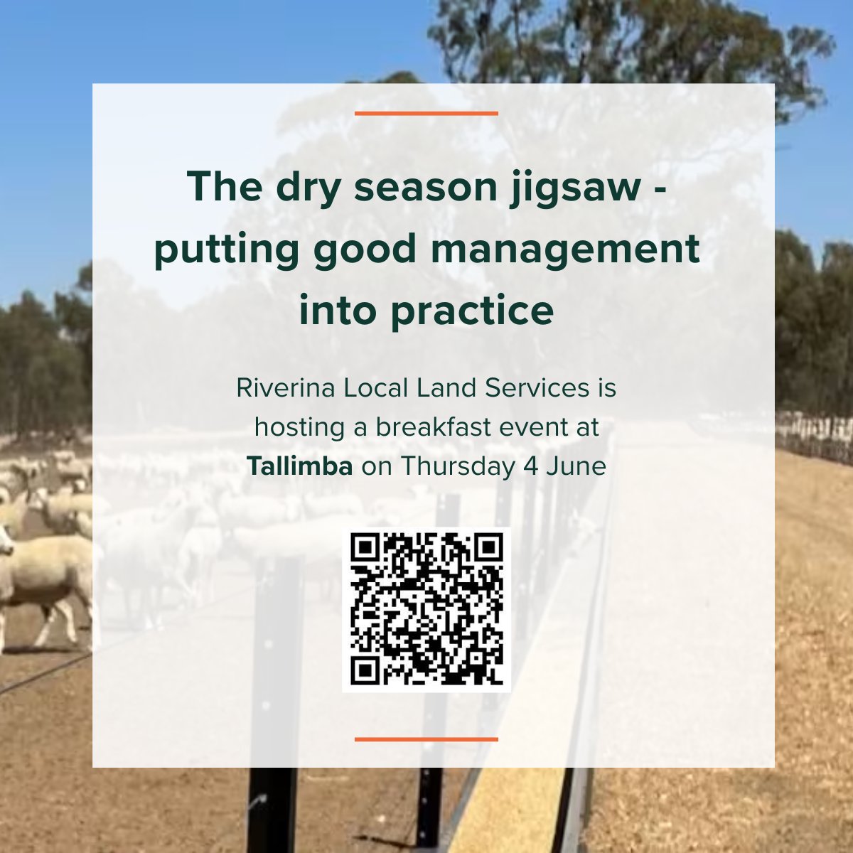 SouthernNSWHub's tweet photo. Join Riverina @llsnsw in #Tallimba on 4 June for "Dry season jigsaw: putting good management into practice" with Drought Adoption Officer @riverinaMFO
Register here: https://t.co/UPIJmw0Qlk
#LocalLandServices #FutureDroughtFund #SNSWInnovationHub https://t.co/MxxmByNXbX