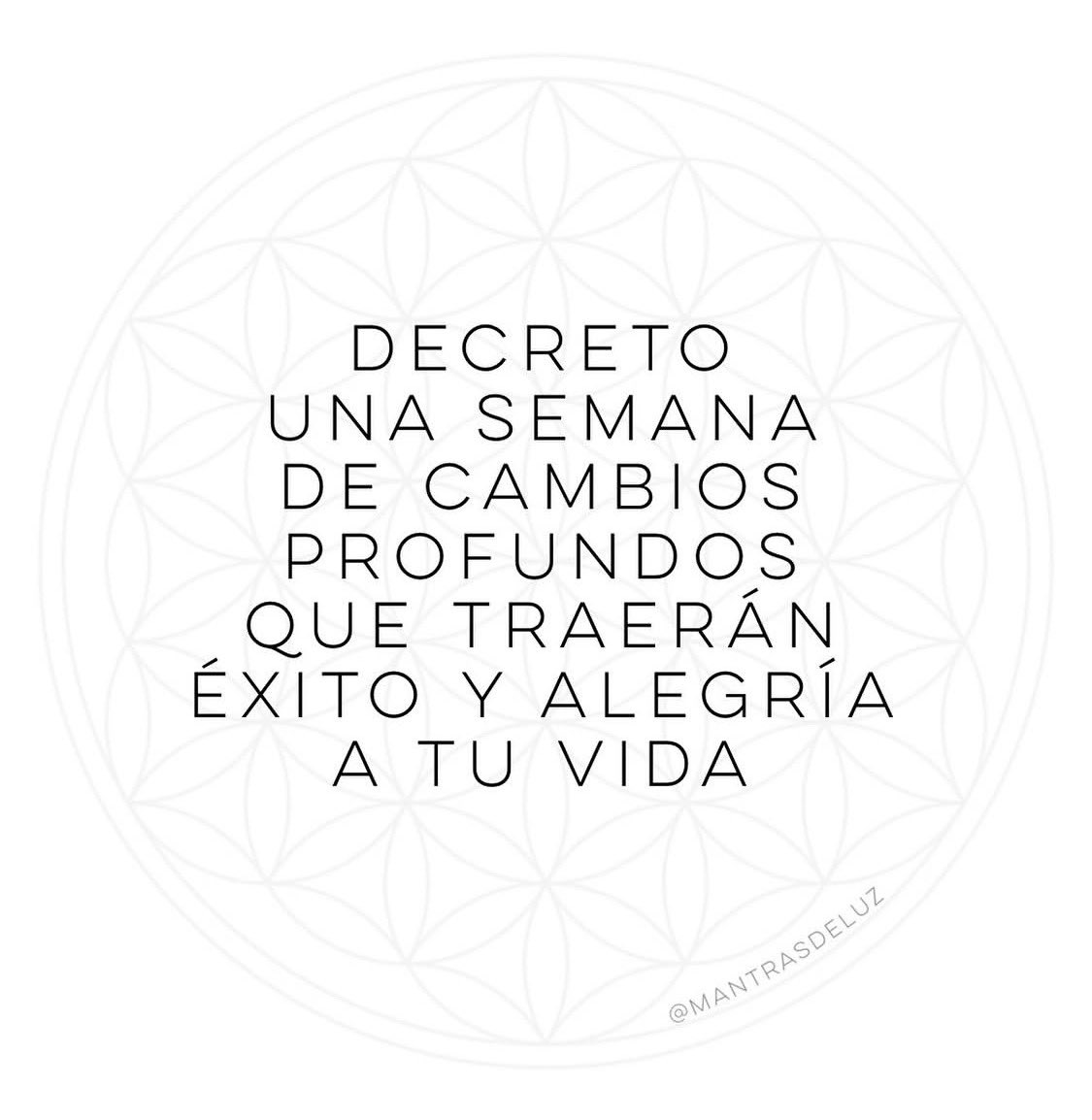 Omar Monroy tweet media