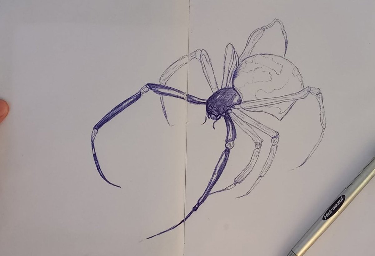 Jaqueszs2's tweet photo. Drawing https://t.co/3BsEDiixut