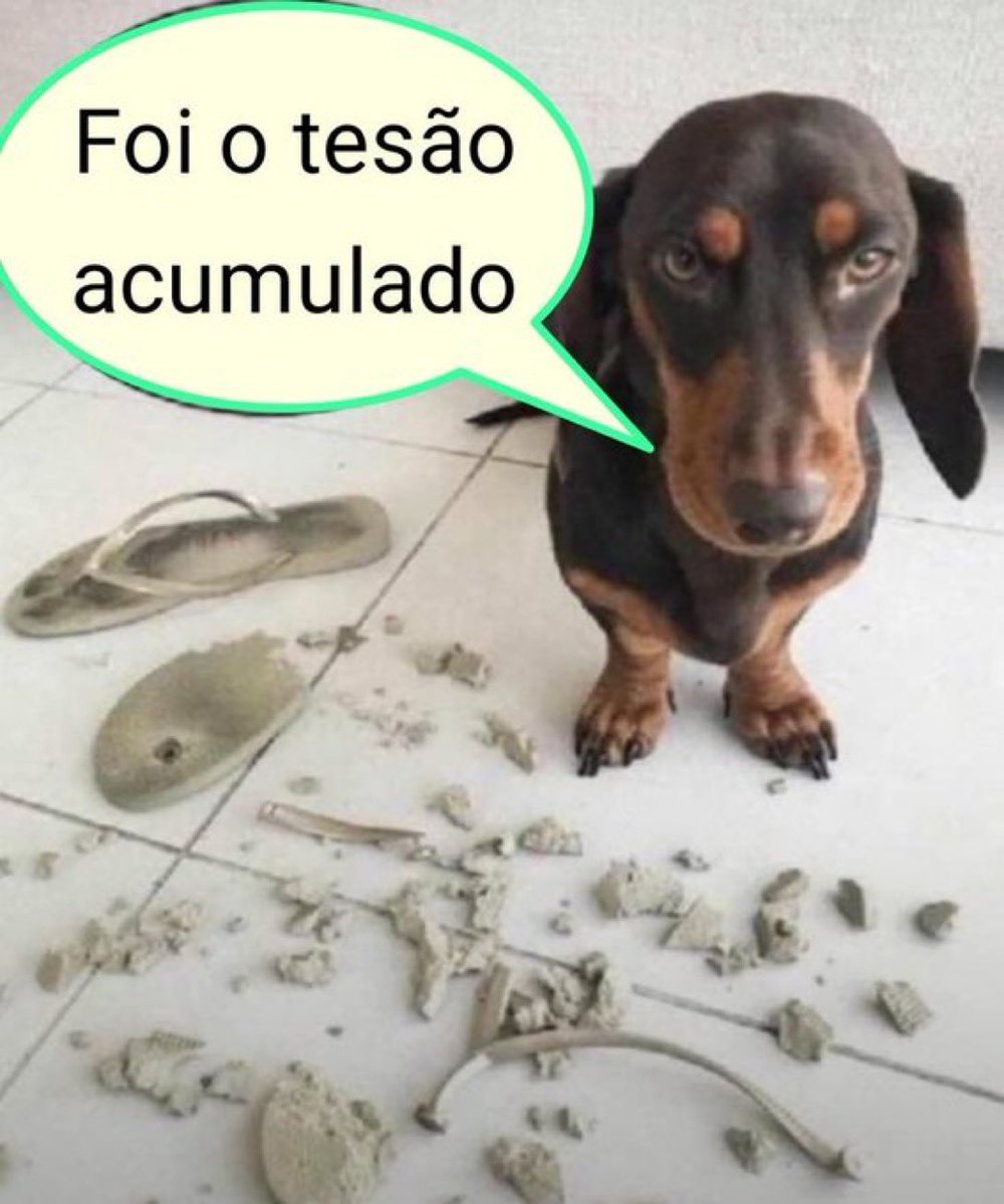 cleozinhaa tweet media