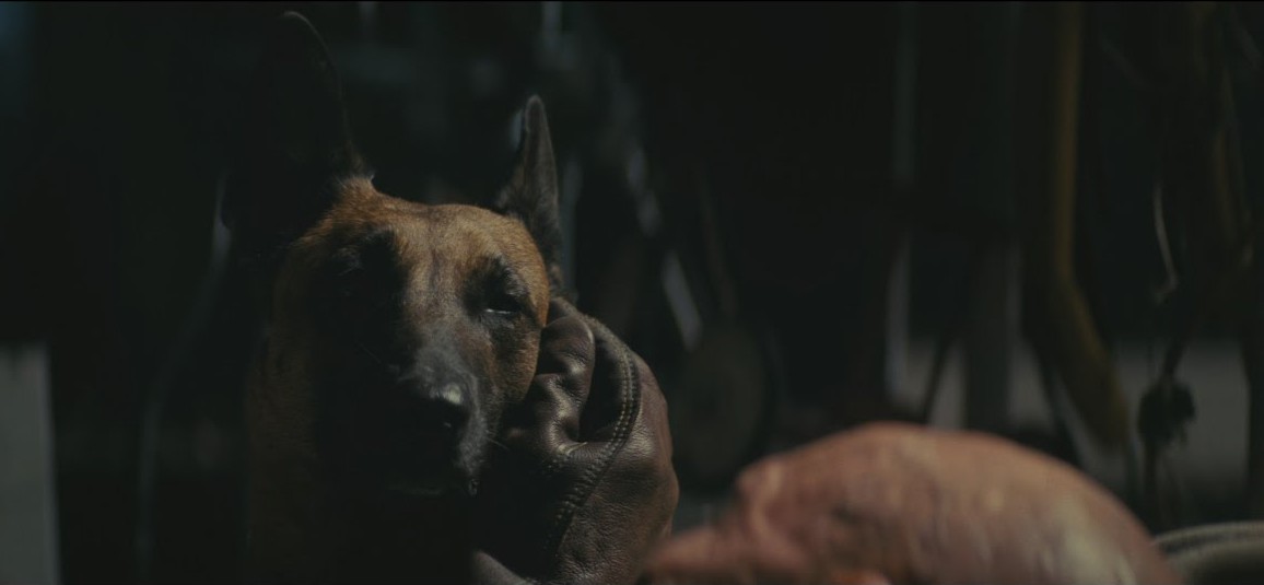 _Astrocomet_'s tweet photo. Perk taken:  Animal Friend

"To my way of thinking there's something wrong, or missing, with any person who hasn't got a soft spot in their heart for an animal of some kind..." -Will James https://t.co/CFkMlXzweh