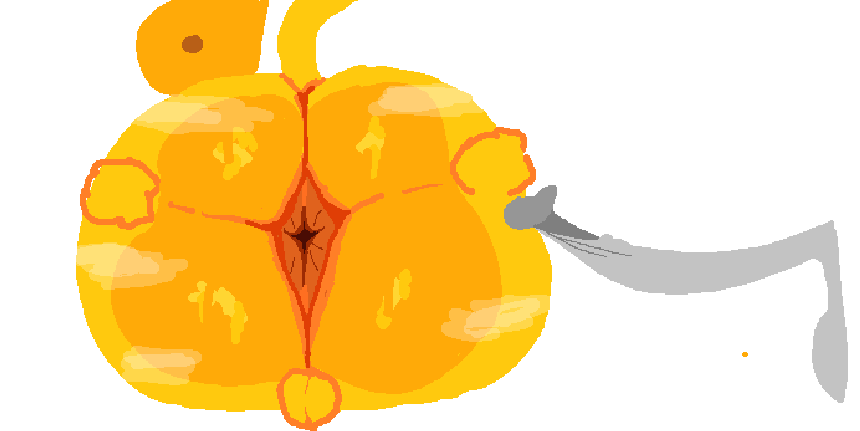 Ttoumie tweet media