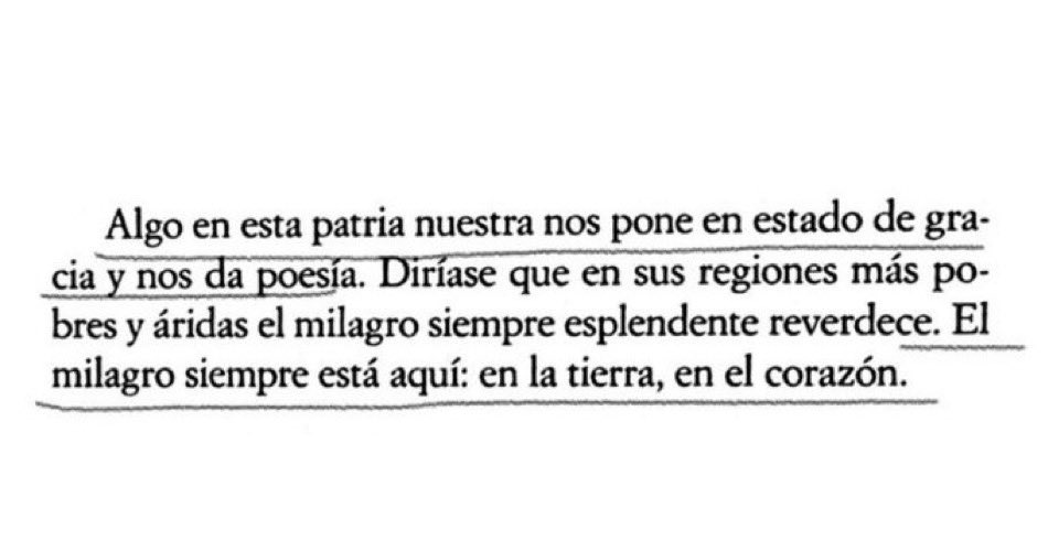 guada tweet media
