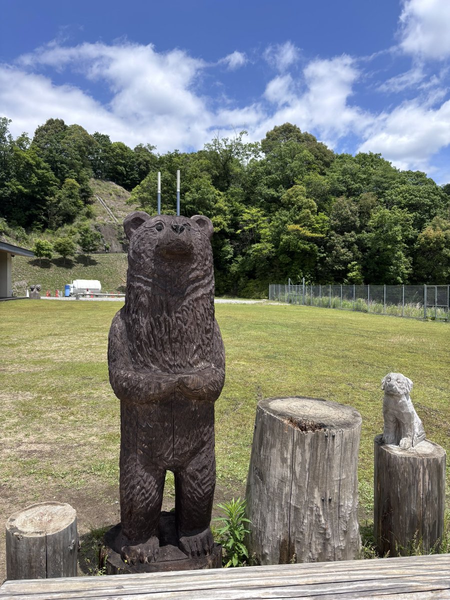 くまさん tweet media