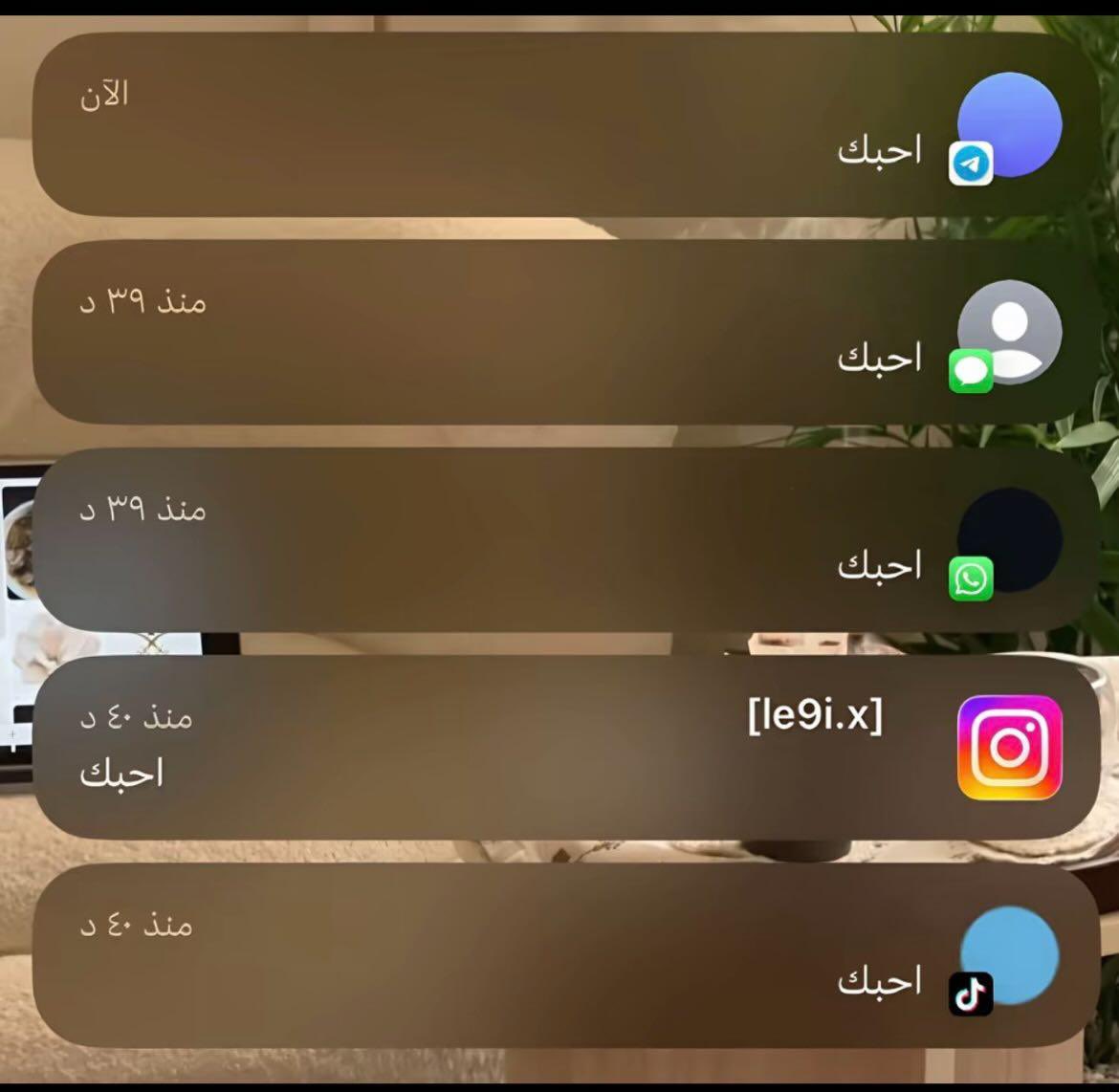 𓅓 tweet media